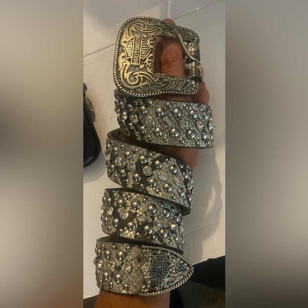 Silver Snake Embellished Harley Davidson Belt